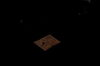 20130308-9C7C0928