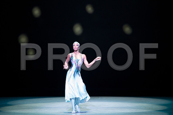 20170224_Alvin_Ailey_Night_Creature_PR_73A8443