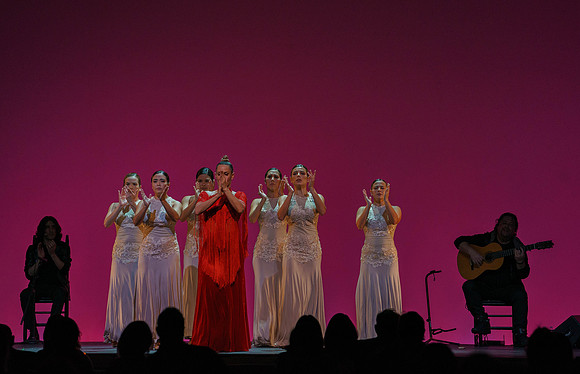 20210417_Siudy_ flamenco_archt_DSC9930