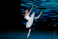 20241026_untitled20241026_Dying Swan__DSC5676