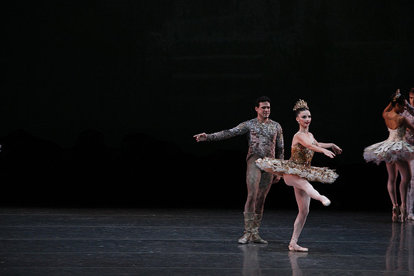 20160318_Midsummer_Night's_Dream_PR_Closeup_G3P0116