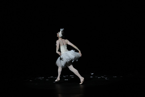 20150215_Les_Ballets_Trockadero_de_Monte_Carlo_CG3P0046