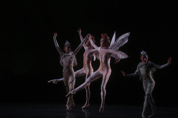 20160317_Midsummer_Night's_Dream_DR_Closeup_IMG_5432