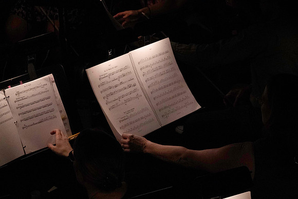 20240417_Swan_Lake_Orchestra_DSC5056.ARW
