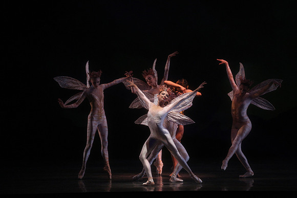 20160317_Midsummer_Night's_Dream_DR_Closeup_IMG_5607