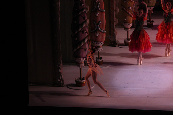 20141229_Nutcracker_WPB_Flowers__CG3P2166