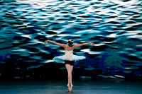 20241026_untitled20241026_Dying Swan__DSC5742