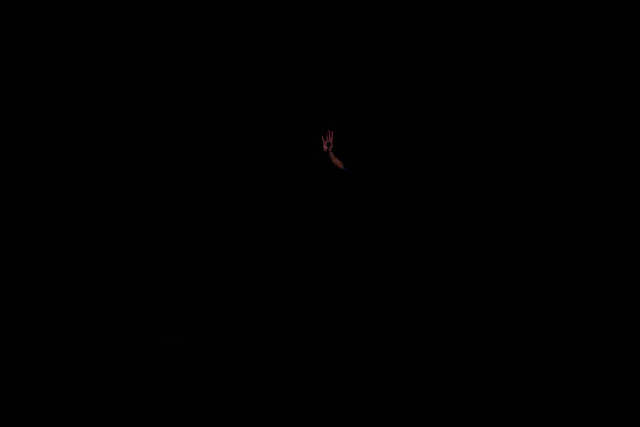 20131301_AL1B3460