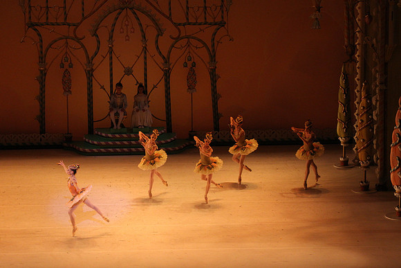 20141229_Nutcracker_WPB_Marzipan_CG3P1574