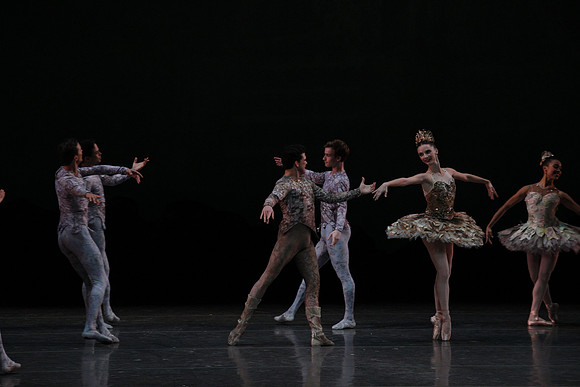 20160318_Midsummer_Night's_Dream_PR_Closeup_G3P0091