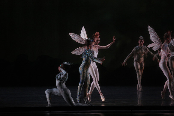 20160317_Midsummer_Night's_Dream_DR_Closeup_IMG_5633