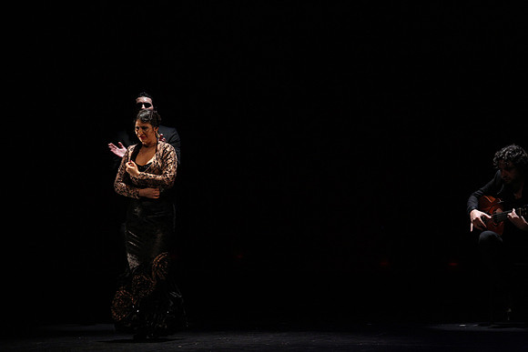 20140227_Flamenco_Festival_1_9C7C0143