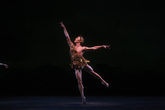20160317_Midsummer_Night's_Dream_DR_Closeup_IMG_5522