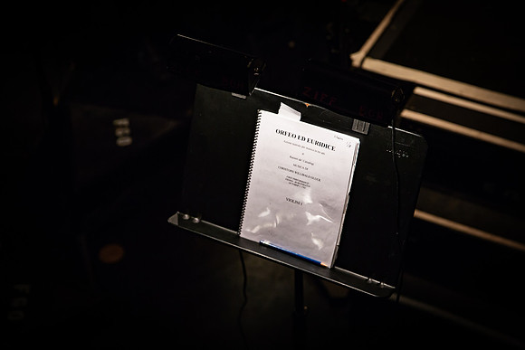 20180315_Oerfeo_FGO_Orchestra_9C7C8565