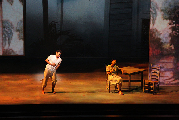 Before Night Falls Florida Grand Opera by Jorge Martin with Dolores M. Koch