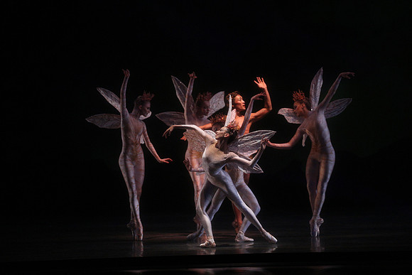 20160317_Midsummer_Night's_Dream_DR_Closeup_IMG_5622