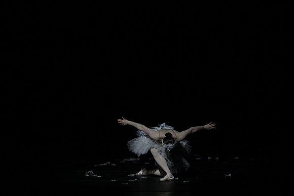 20150215_Les_Ballets_Trockadero_de_Monte_Carlo_CG3P0118