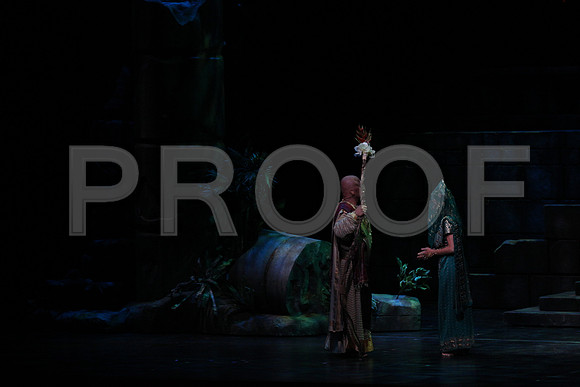 20150303_Pearl_Fisher_Act2_CG3P6025