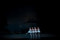20151025_MCB_Swan_Lake_2Cast_Arsht_IMG_0059