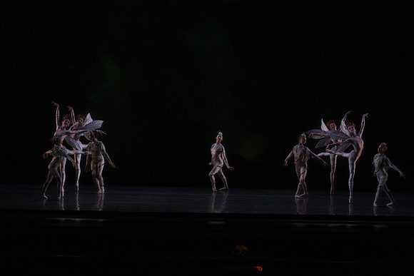 20160317_Midsummer_Night's_Dream_DR_Closeup_IMG_5436