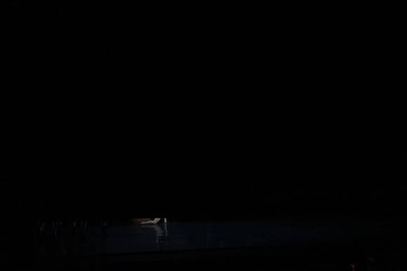 20151025_MCB_Swan_Lake_2Cast_Arsht_IMG_1500