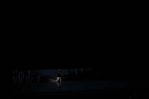 20151025_MCB_Swan_Lake_2Cast_Arsht_IMG_1497