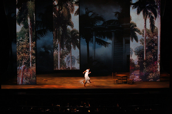 Before Night Falls Florida Grand Opera by Jorge Martin with Dolores M. Koch
