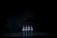 20151025_MCB_Swan_Lake_2Cast_Arsht_IMG_0018