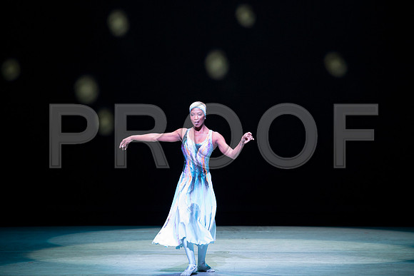 20170224_Alvin_Ailey_Night_Creature_PR_73A8444