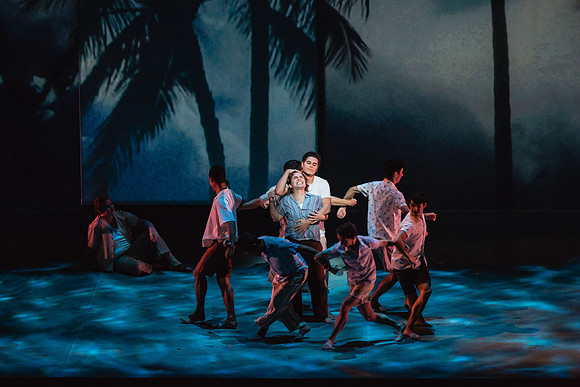 Before Night Falls Florida Grand Opera by Jorge Martin with Dolores M. Koch