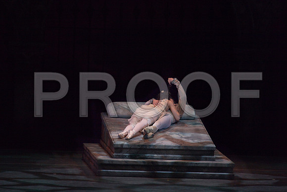5029_DG_Miami_City_Ballet_Romeo_and_Juliet_Broward_center_2011_MG_7719