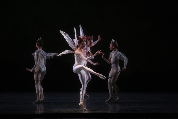 20160317_Midsummer_Night's_Dream_DR_Closeup_IMG_5484