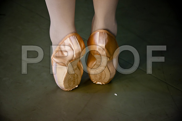 20110922_Miami_City_Ballet_173907_ZV4N1600