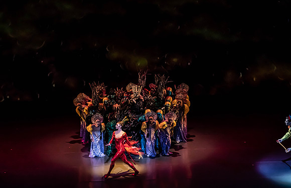 20200222_Firebird_Kravis_2Cast_DSC00124