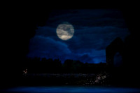 20240418_Swan_Lake_ACT_2_2_Cast_DSC5533.ARW