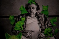Don Pasquale Florida Grand Opera by Giovanni Ruffini and Gaetano Donizetti