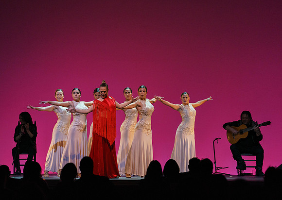 20210417_Siudy_ flamenco_archt_DSC9950