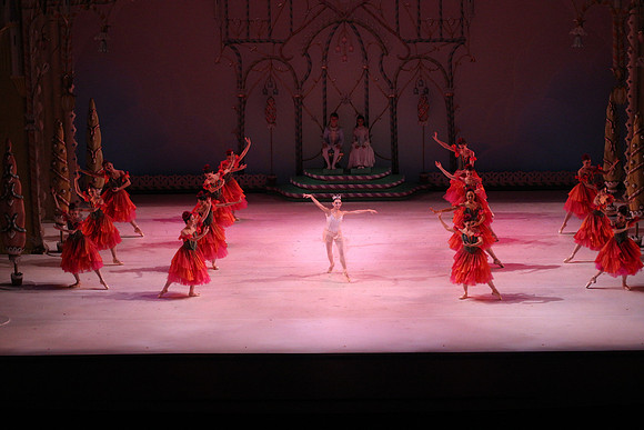 20141229_Nutcracker_WPB_Flowers__CG3P2109