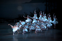 20151114_Swan_Lake_George_Balanchine_Kravis_IMG_6543