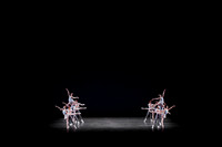 7005_DG_Broward_Art_Center_Ballet_MCB_FL_IMG_4441 copy