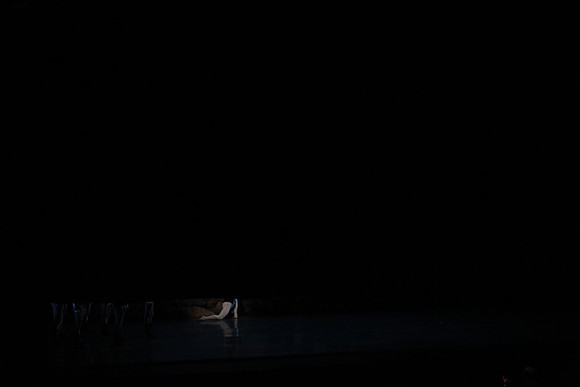 20151025_MCB_Swan_Lake_2Cast_Arsht_IMG_1499