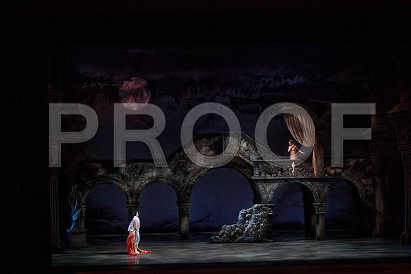 5029_DG_Miami_City_Ballet_Romeo_and_Juliet_Broward_center_2011IMG_0569