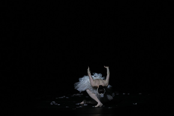 20150215_Les_Ballets_Trockadero_de_Monte_Carlo_CG3P0124