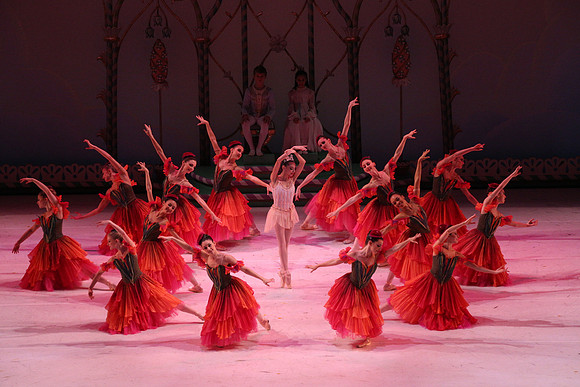 20141229_Nutcracker_WPB_Flowers__CG3P2080
