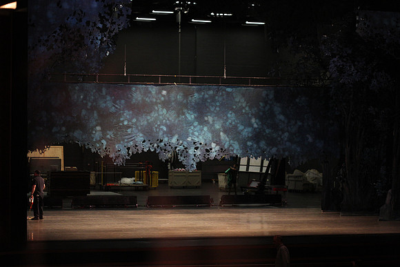 20151025_MCB_Back_Stage_2Cast_Arsht_IMG_7556