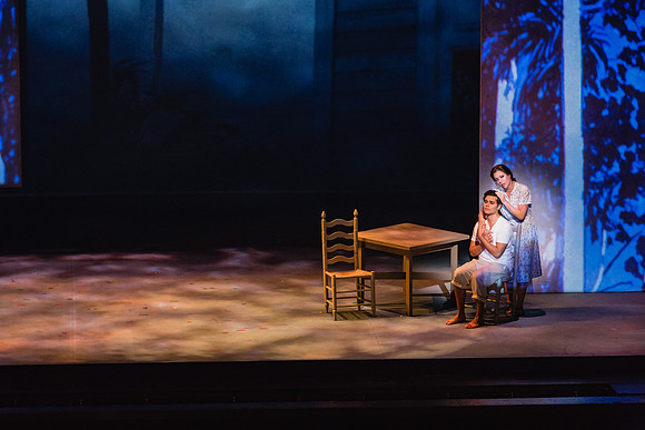 Before Night Falls Florida Grand Opera by Jorge Martin with Dolores M. Koch