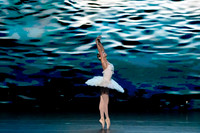 20241026_untitled20241026_Dying Swan__DSC5750