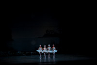 20151025_MCB_Swan_Lake_2Cast_Arsht_IMG_0017