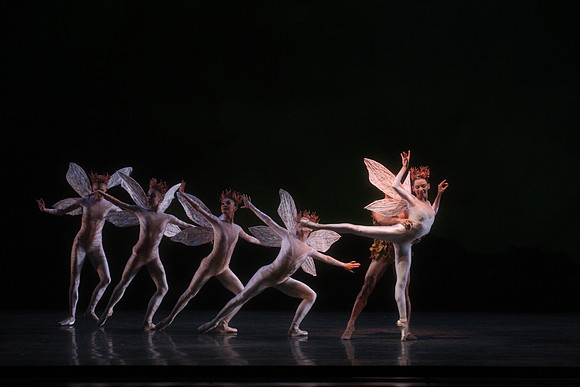 20160317_Midsummer_Night's_Dream_DR_Closeup_IMG_5552