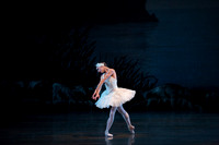 20151022_MCB_Swan_Lake_DR_Arsht_IMG_7679